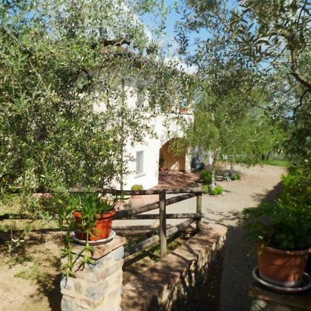 Maison d'hôtes Casa le Betulle à Montespertoli Extérieur photo